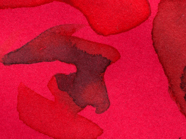 Fanny – 15 Janvier 2012