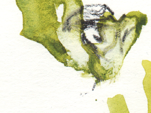 Jak – 16 Janvier 2013